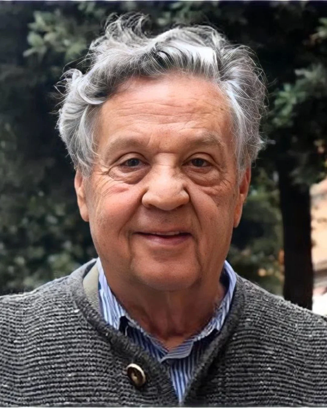 Stefano Zappellini