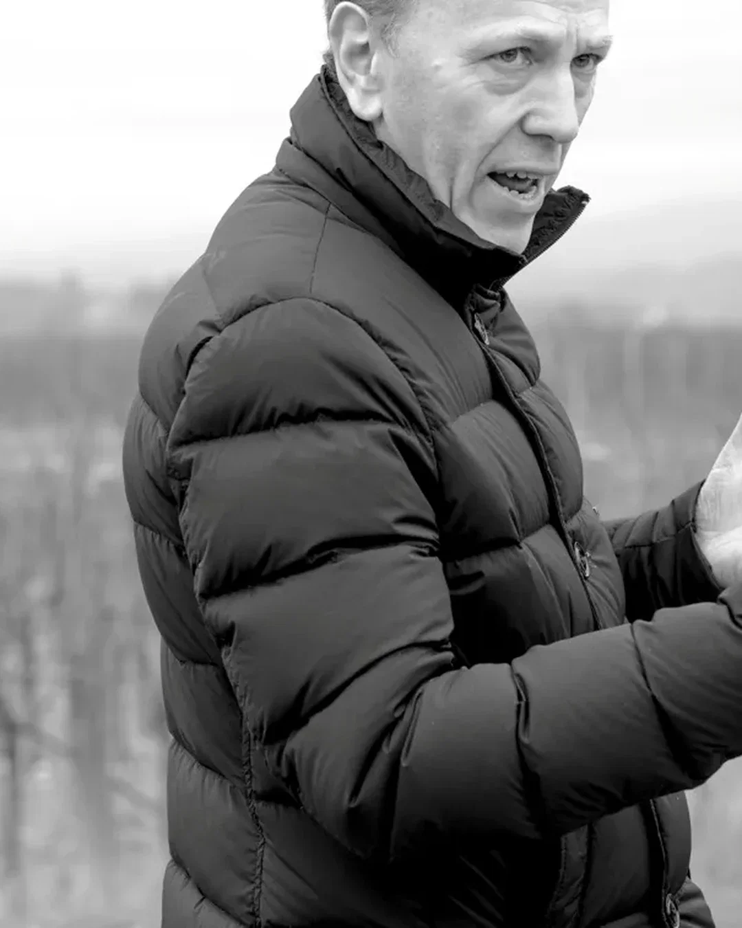 Alvaro Pecorari