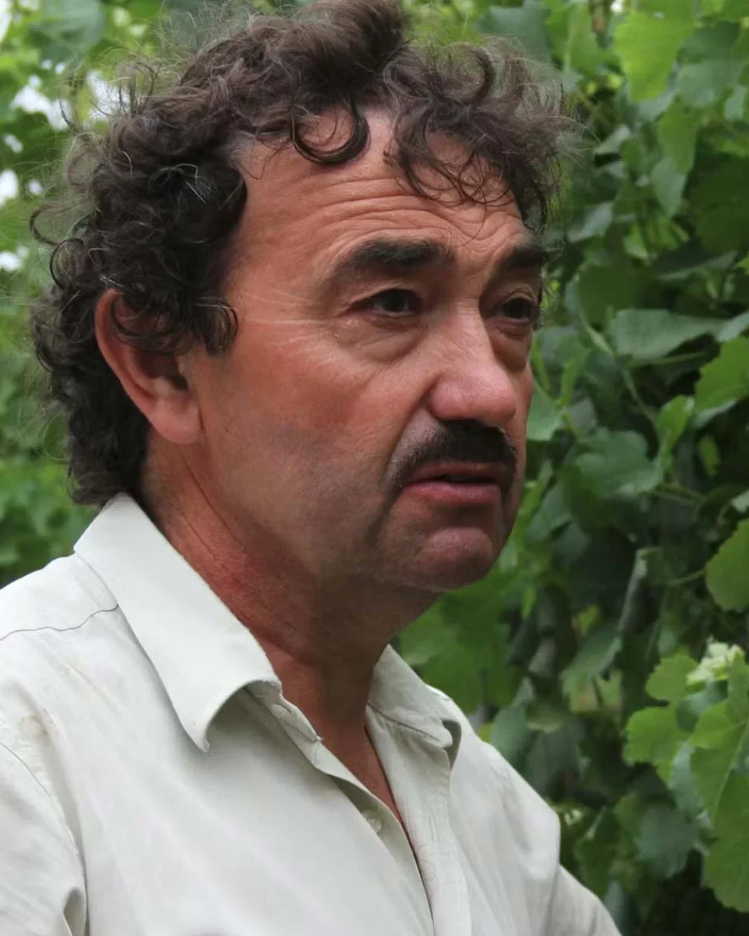 Nicola Manferrari