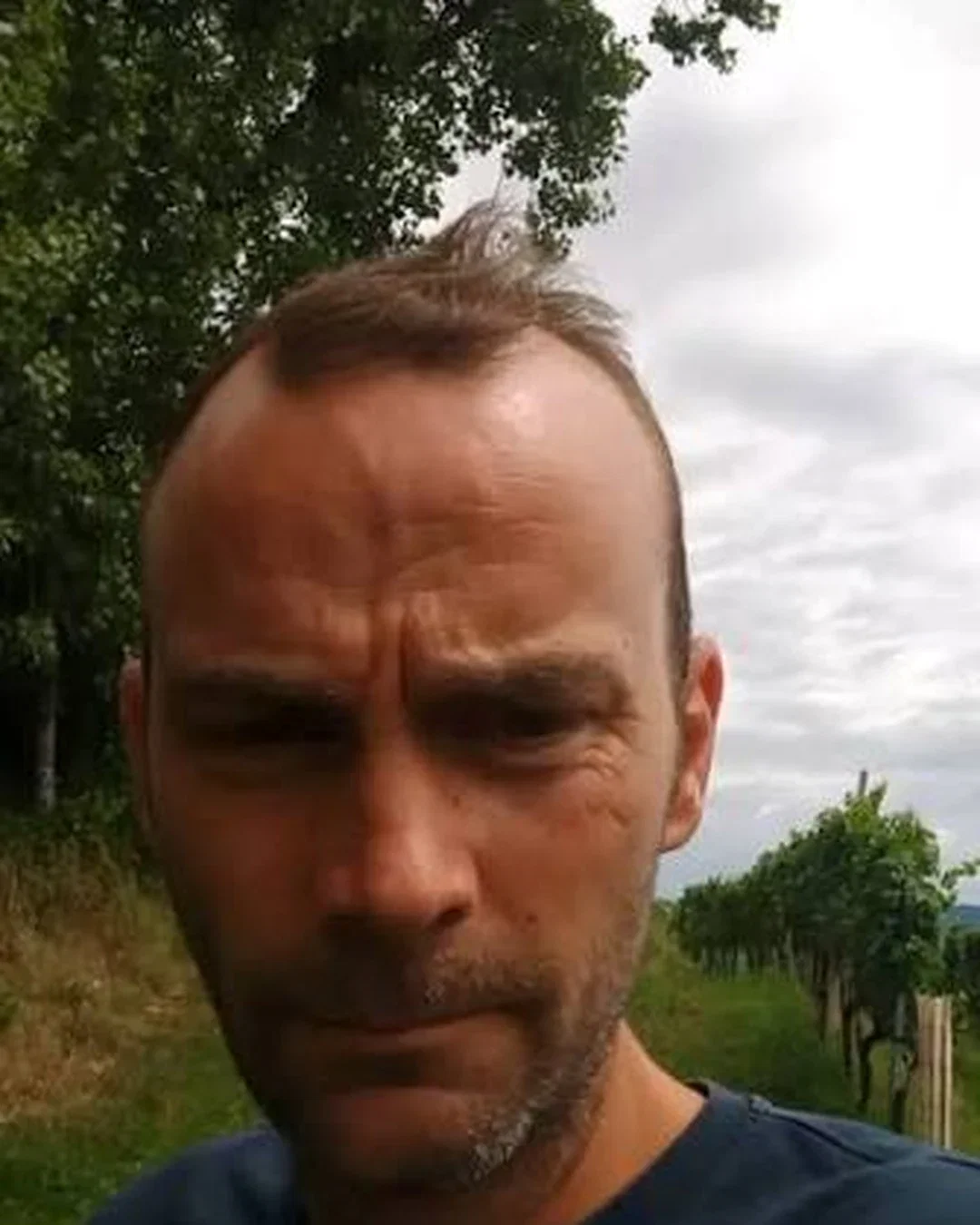 Hartmut Aubell