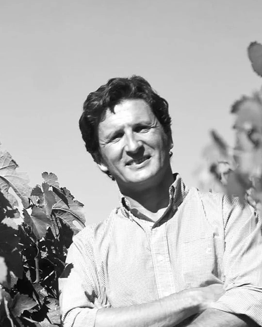 Rafael Palacios