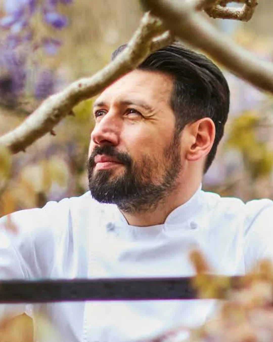 Jauca Catalin