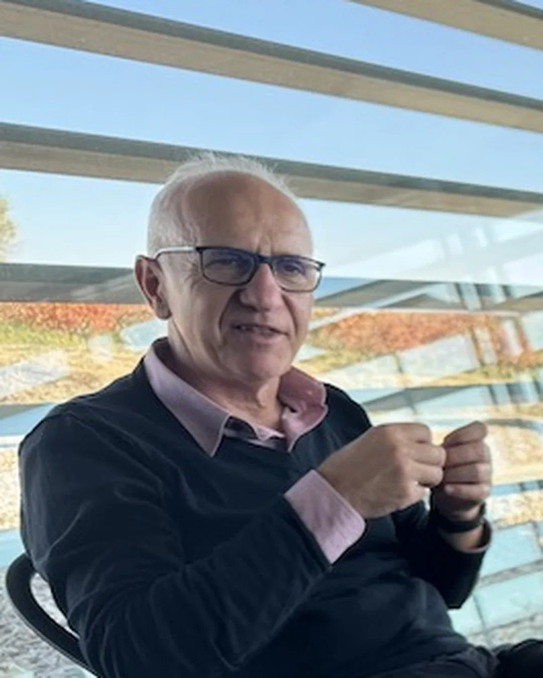 Pedro Aíbar