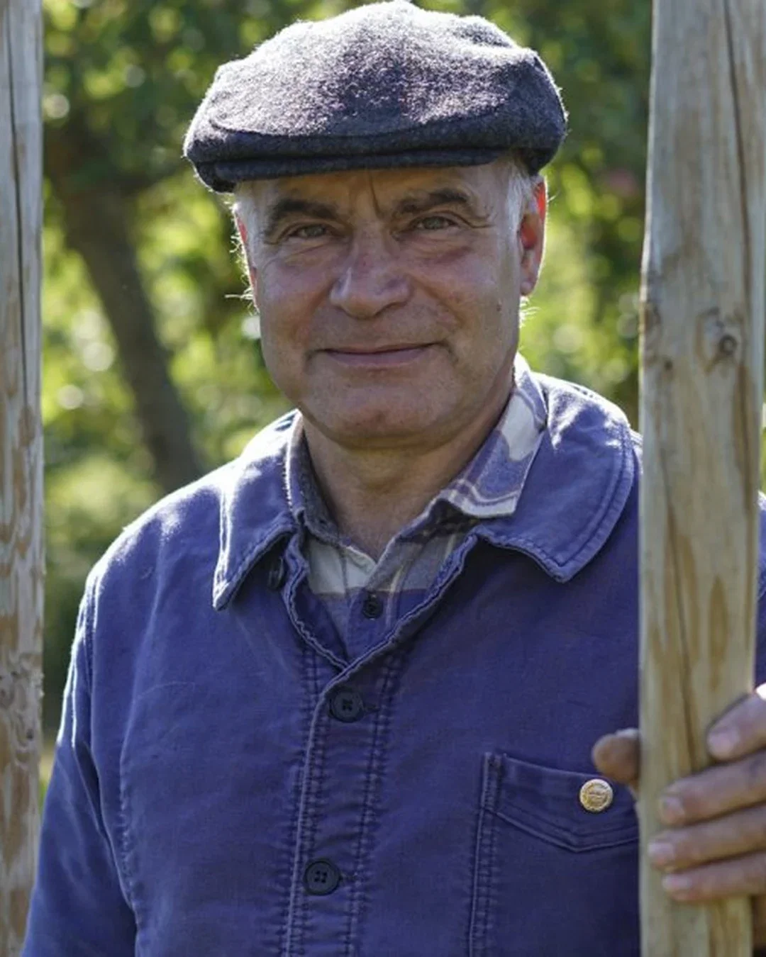 Mark Angeli