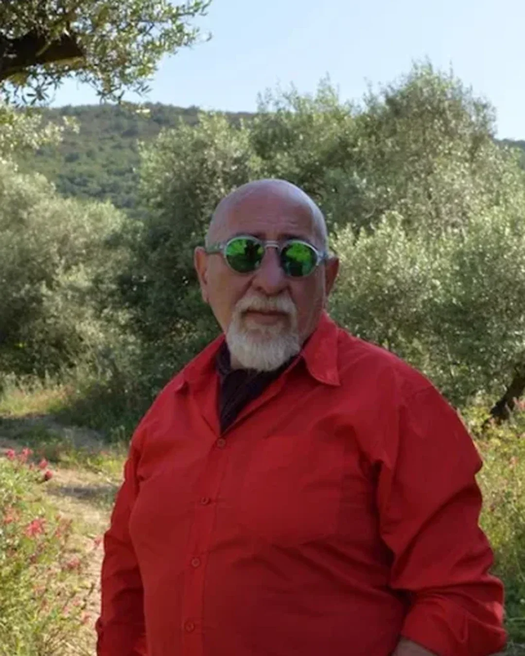 Bruno de Conciliis