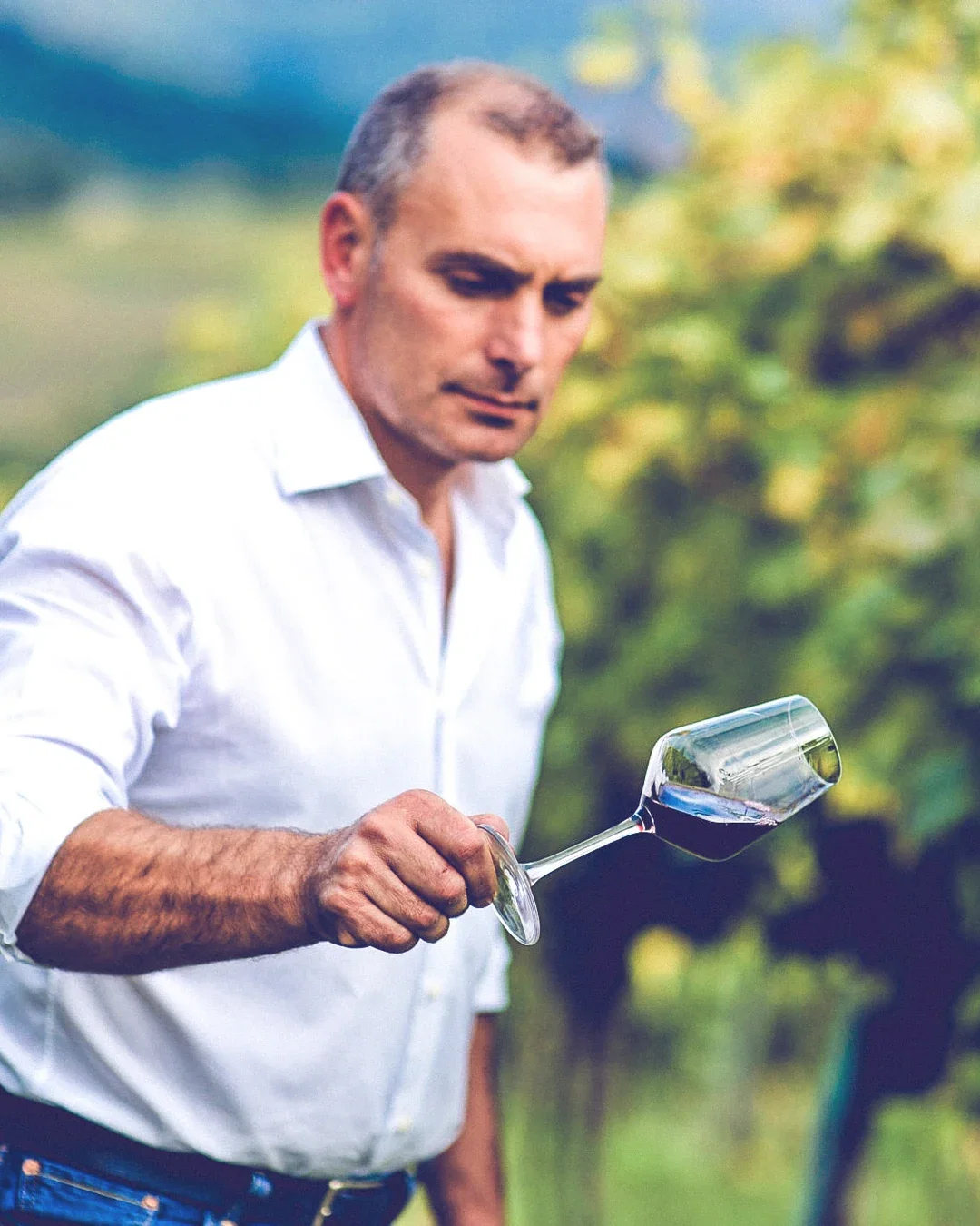 Claudio Cipressi