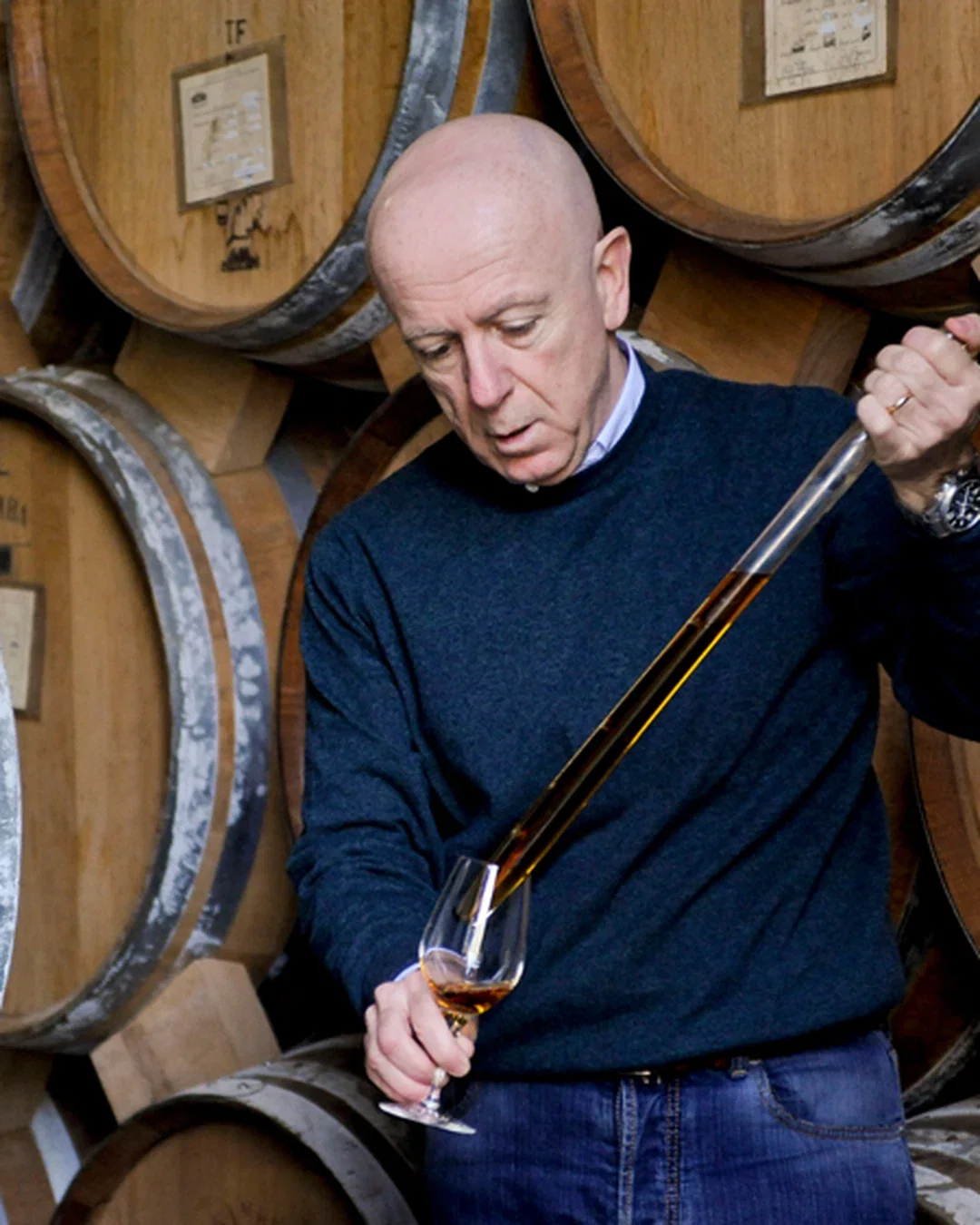 Guido Fini Zarri