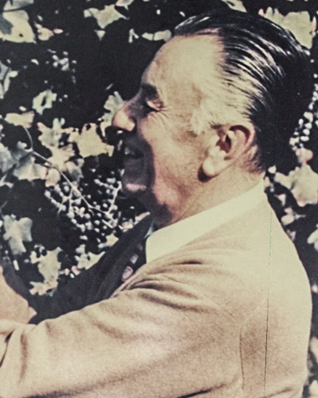 Alberto Pezzuoli