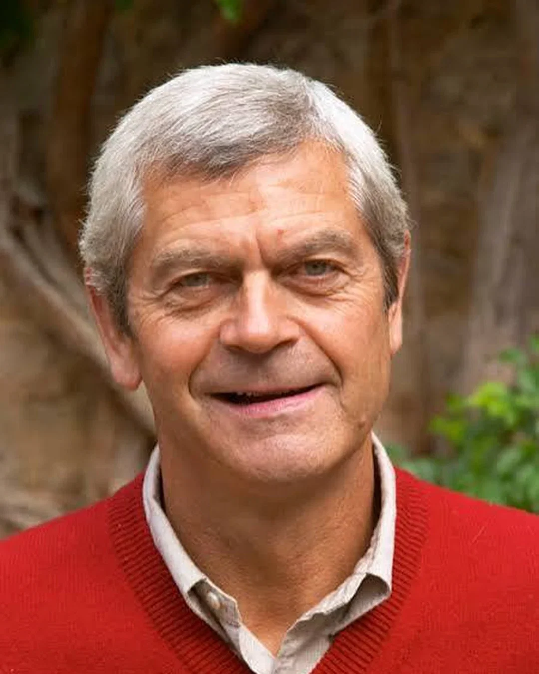 Michel Laroche