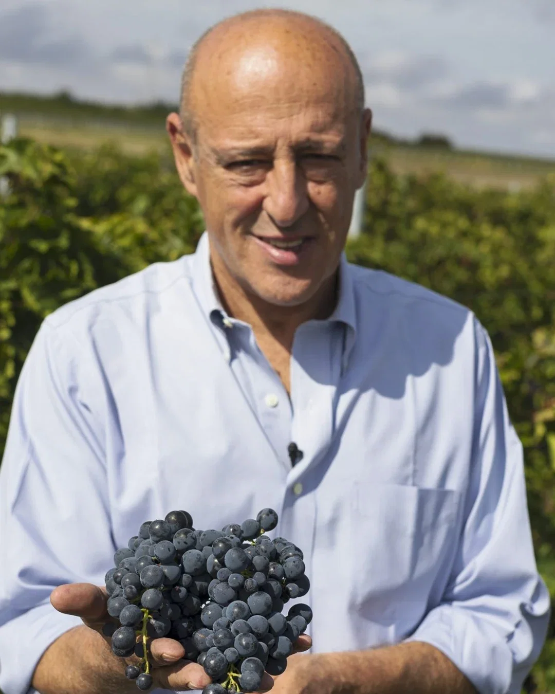 Alessio Di Majo