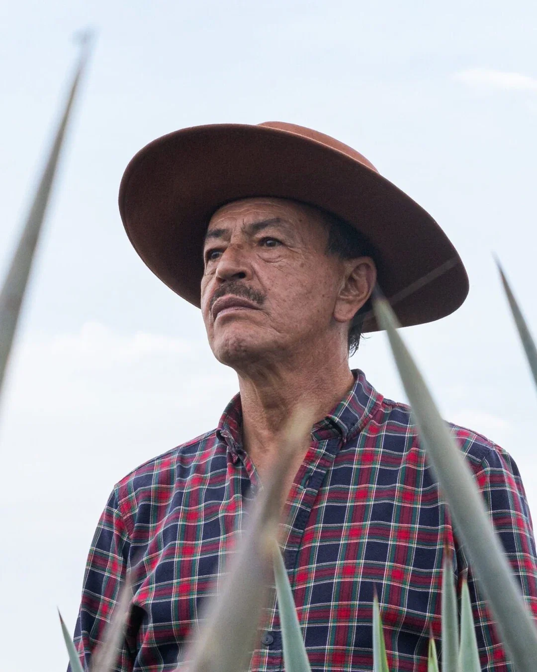 Carlos Camarena