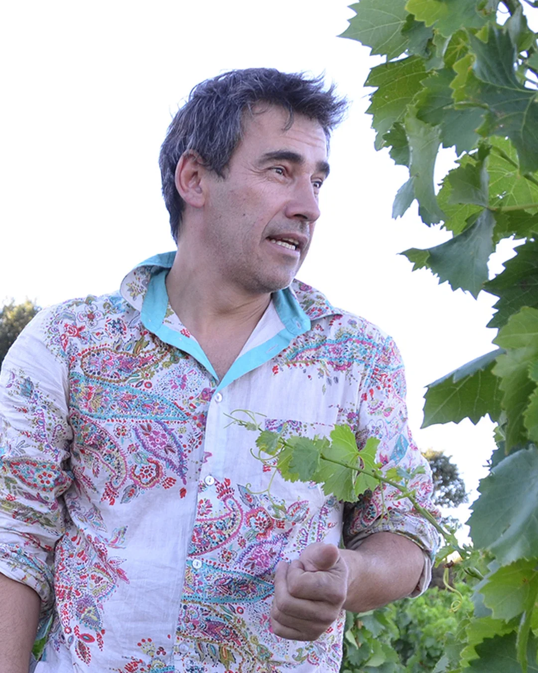 Bruno Duchêne