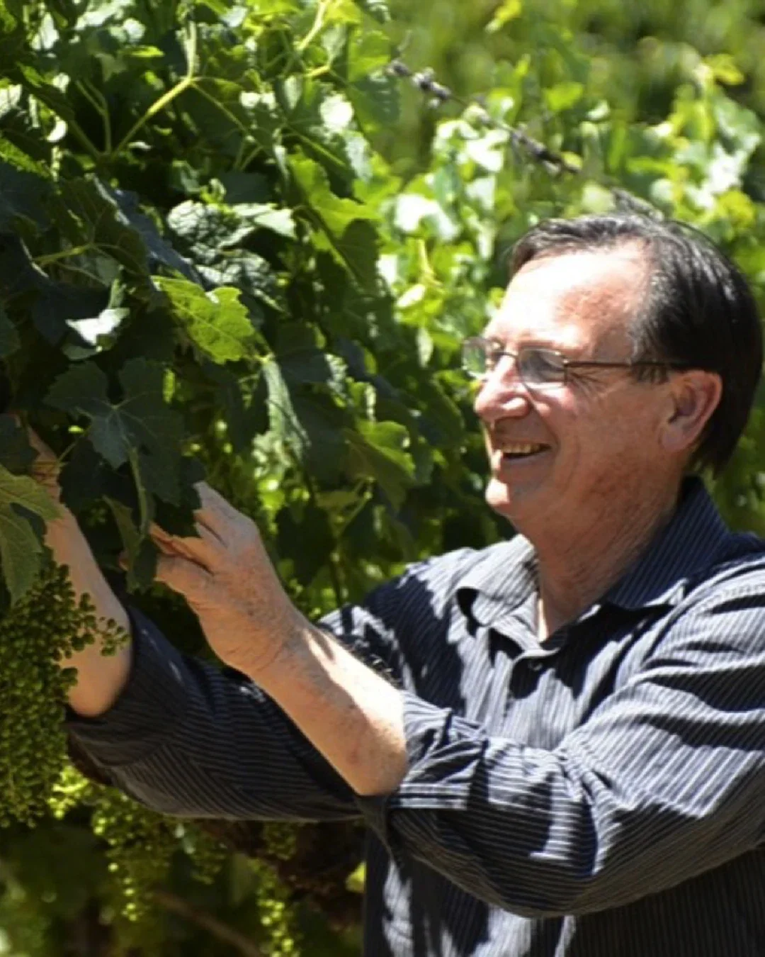 Dennis Hill