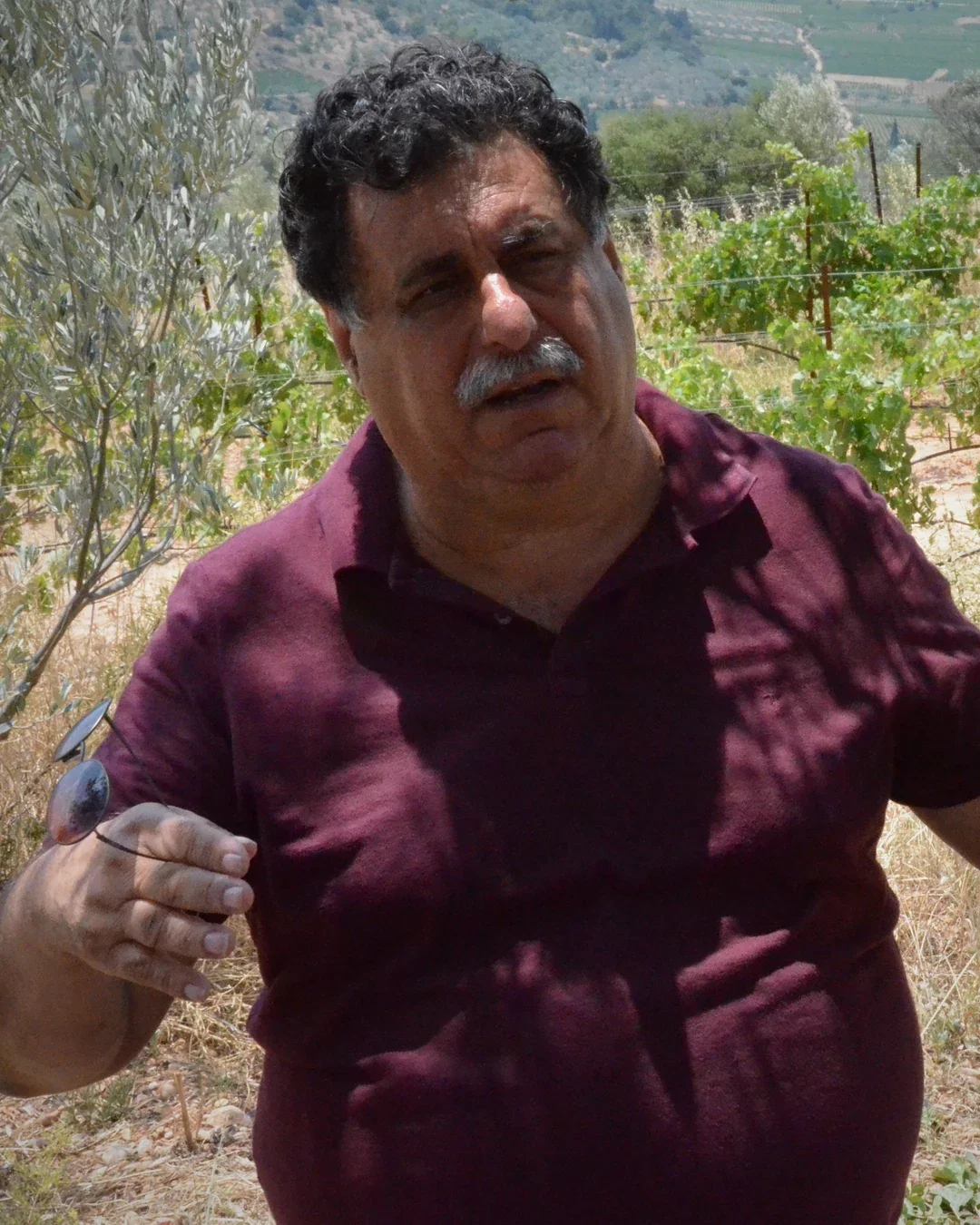 Yiannis Tselepos