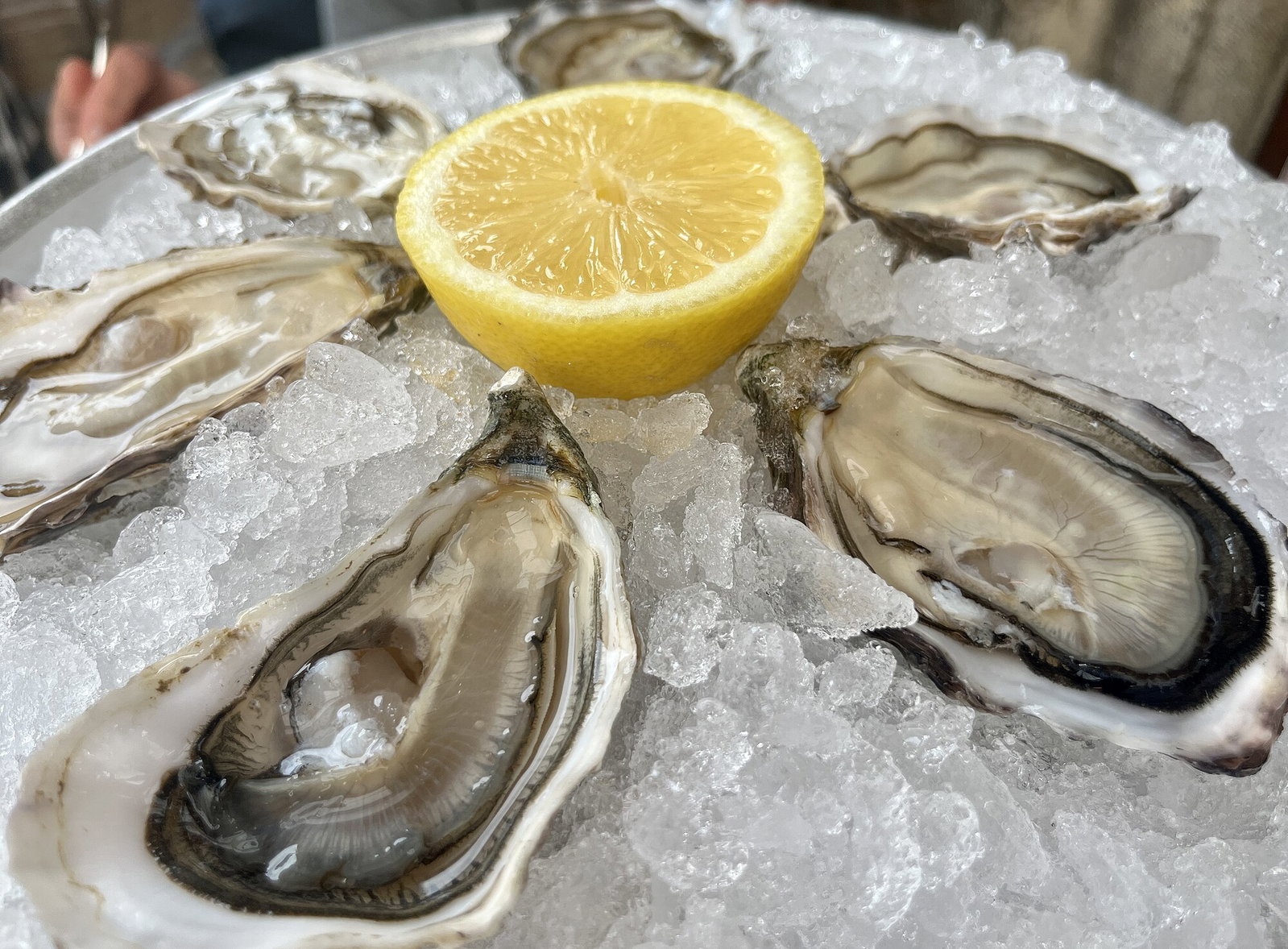 Six Gillardeau oysters on a platter