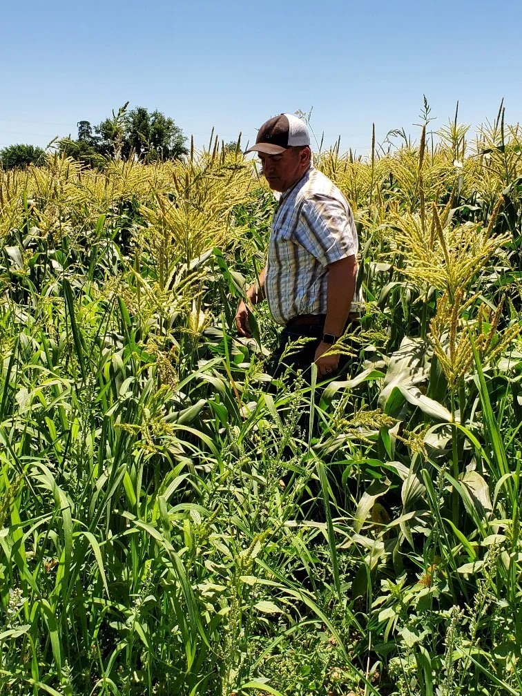Dwelley Family Farms producer profile