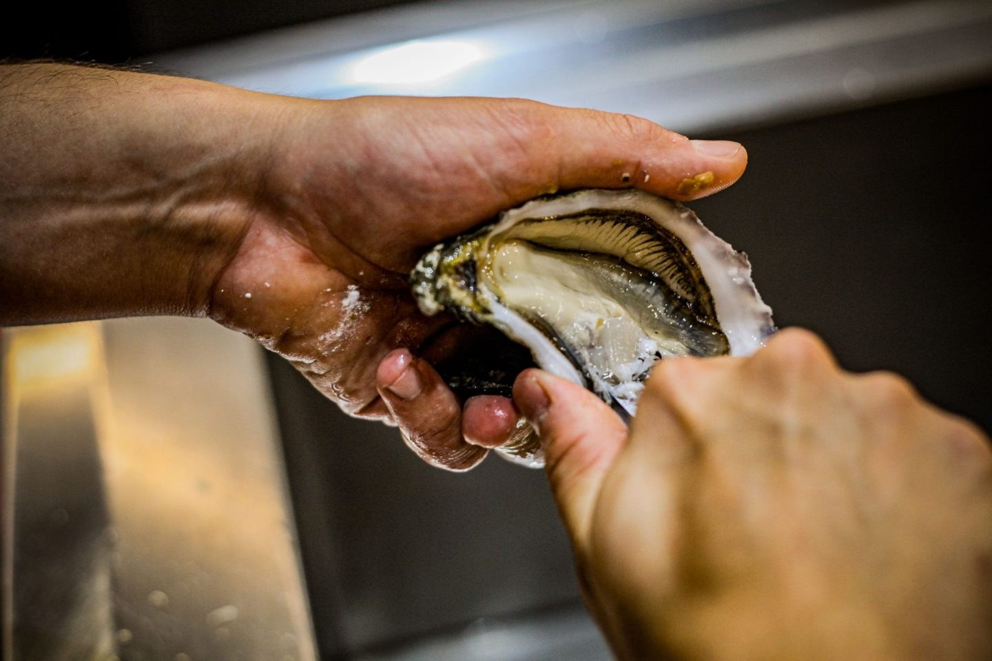 Poissonnerie Viot seafood producer, workshop, farm, or product