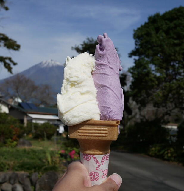 MILK HOUSE, Fujinomiya, Japan