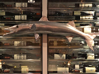 801 Fish, St Louis, United States
