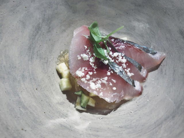 sardexka, Tokyo, Japan