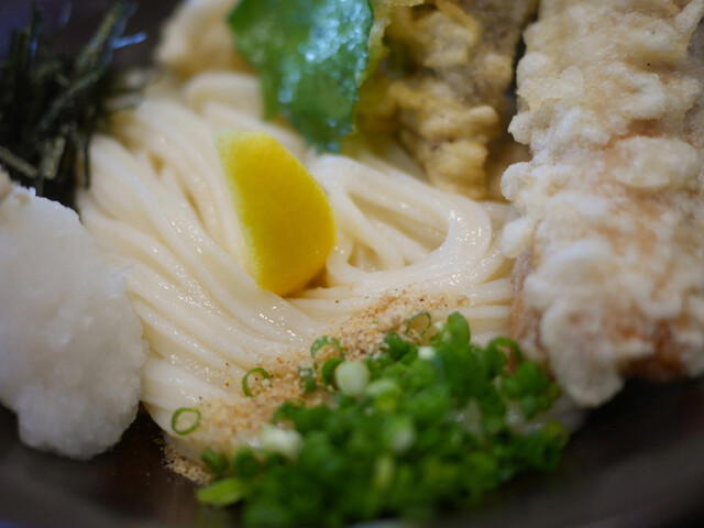 Honkaku Teuchi-Udon Taiga, Kyoto, Japan