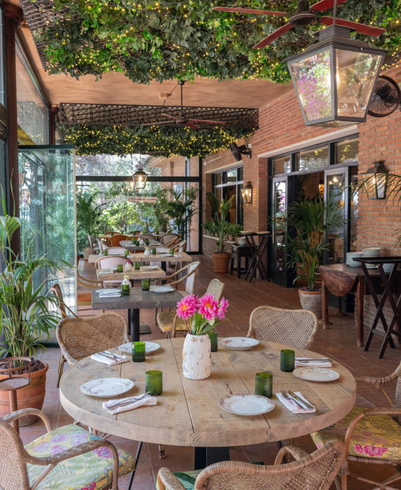 Catalina