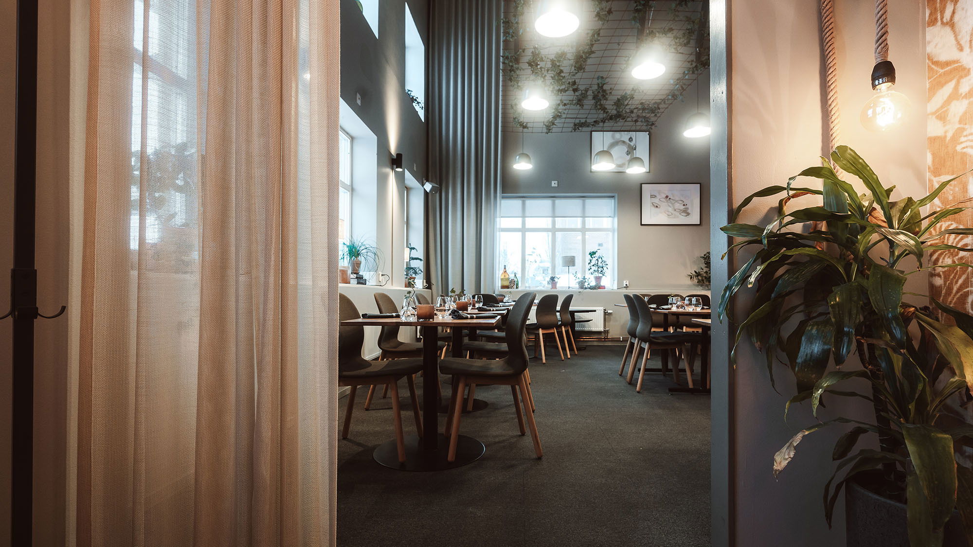 Ångbryggeriet, Restaurant in Pitea