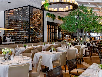 Novikov, Beverly Hills, United States