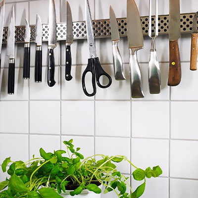 Rucola