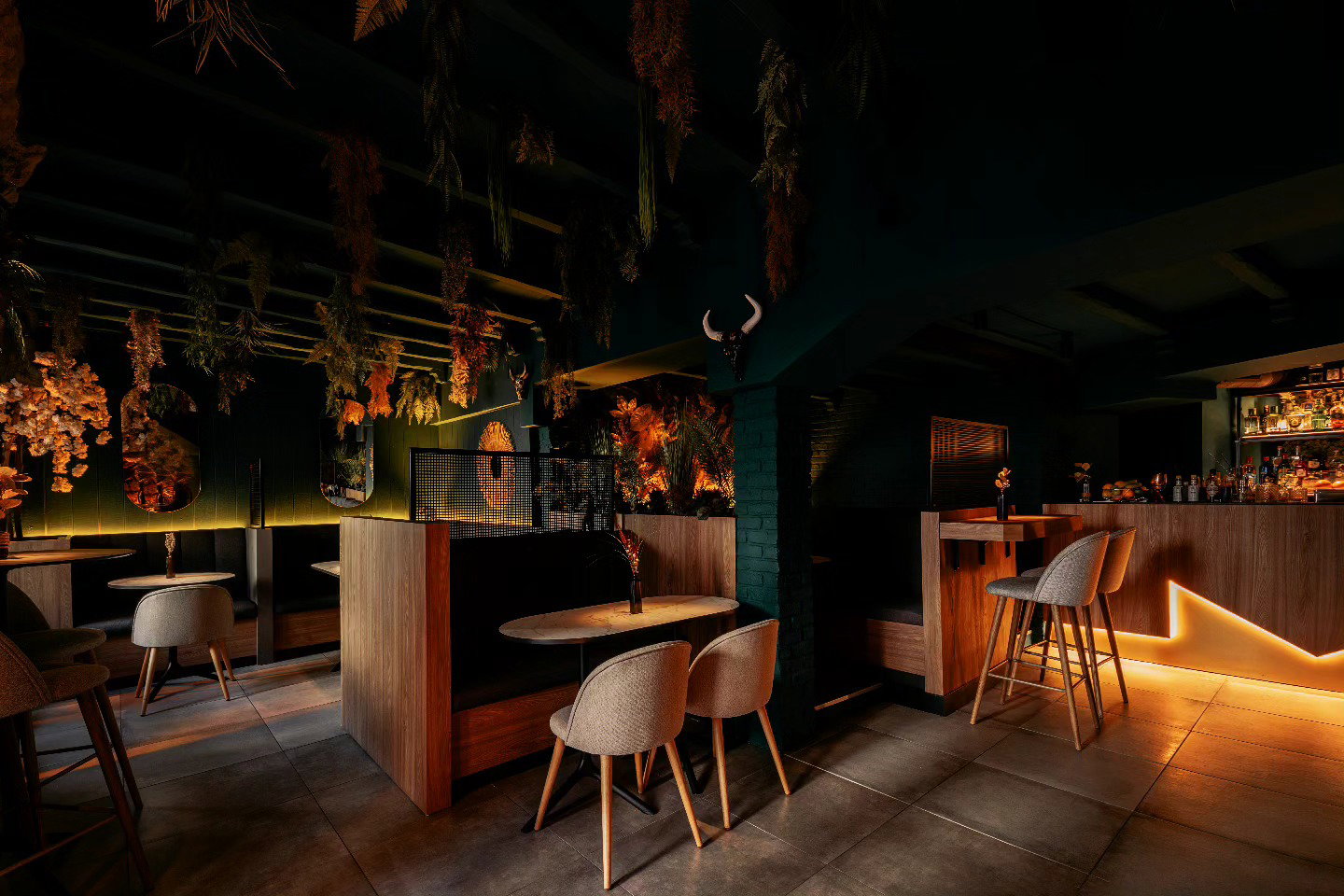 HDDN Premium Mixology & Cuisina