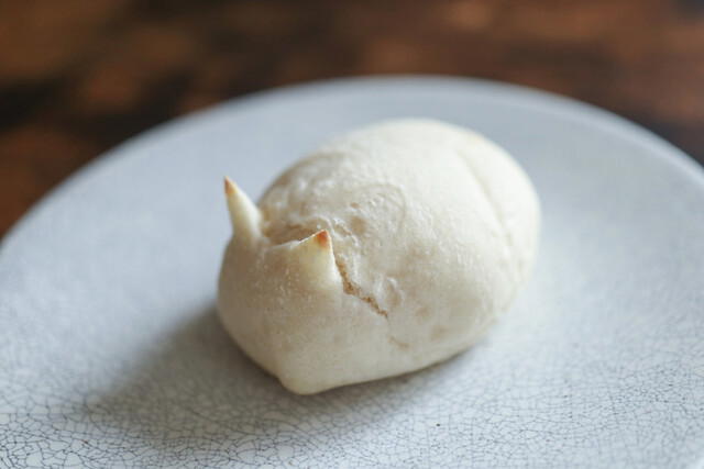 baguette rabbit, Nagoya, Japan