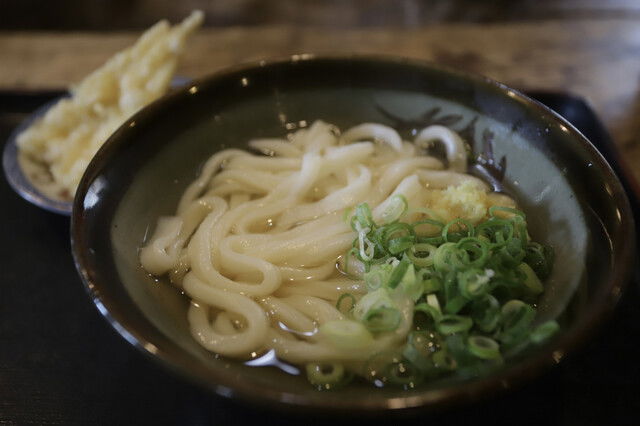 Yokokura Udon, Restaurant in Takamatsu