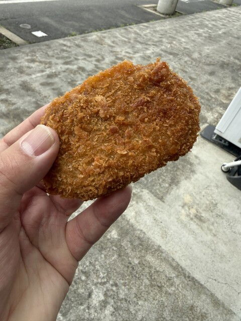 Torikatsu Gyuniku Ten, Restaurant in Yonezawa