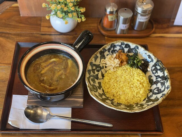Odashi to Spice Ganso Electroni Curry, Restaurant in Osaka