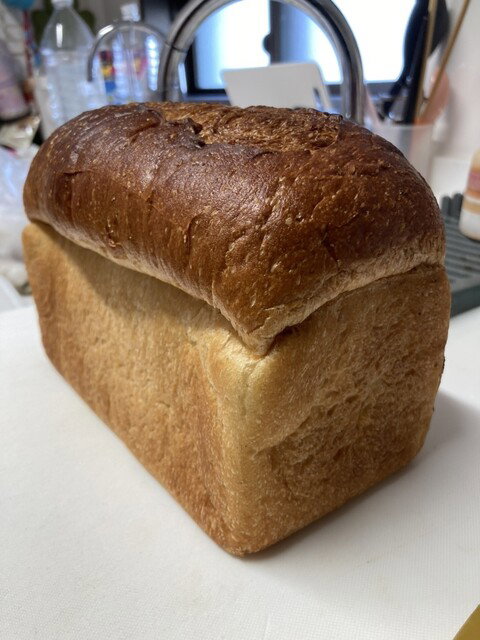 BACKEREI BIOBROT