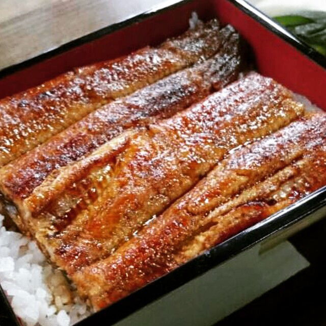 Una Toyo, Restaurant in Nagoya