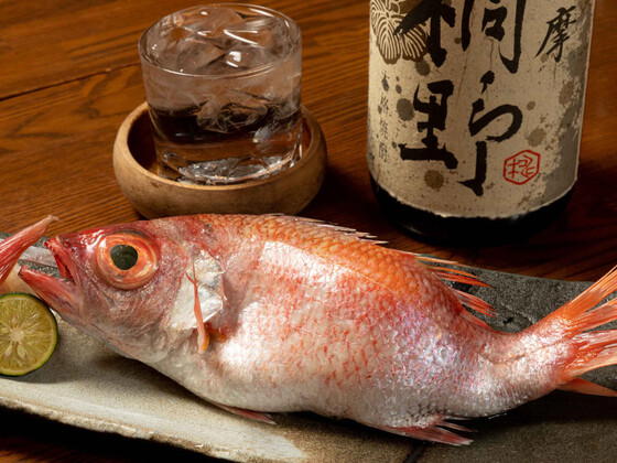 Nodoguro Senmon Ginza Nakamata, Tokyo, Japan