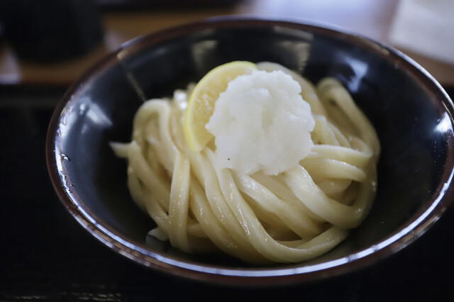 Honkaku Teuchi Udon Hayuka