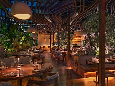 Mēdüzā Mediterrania, New York City, United States