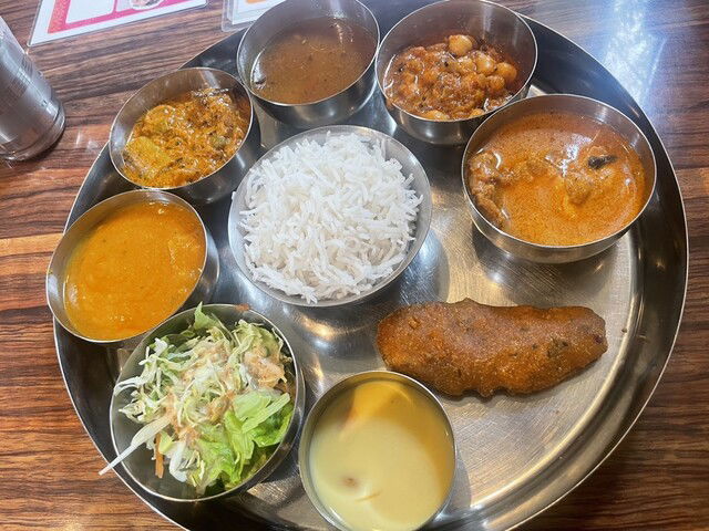 Malini South Indian & Fusion, Restaurant in Kawasaki