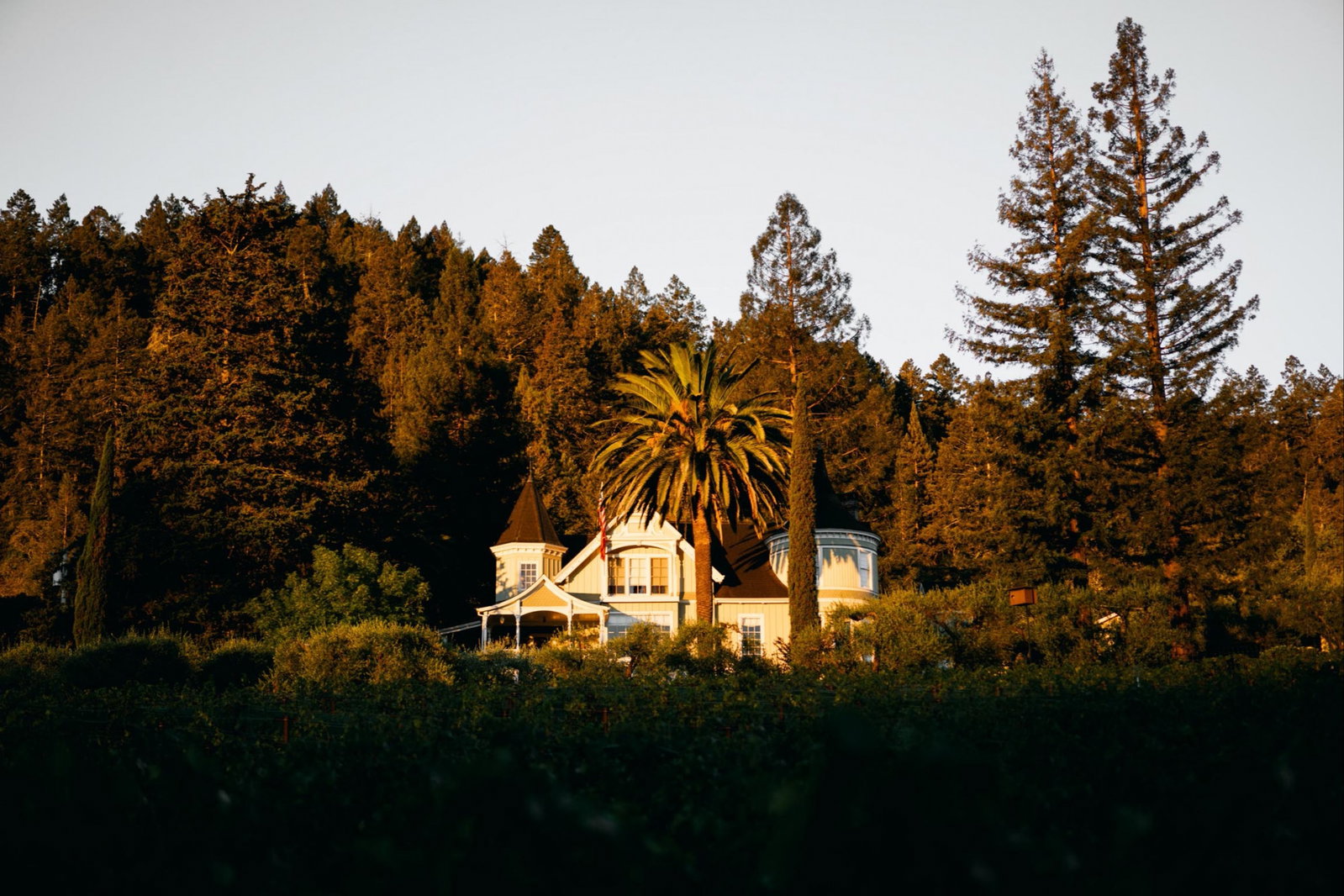 Grace Family Vineyard, St. Helena, United States