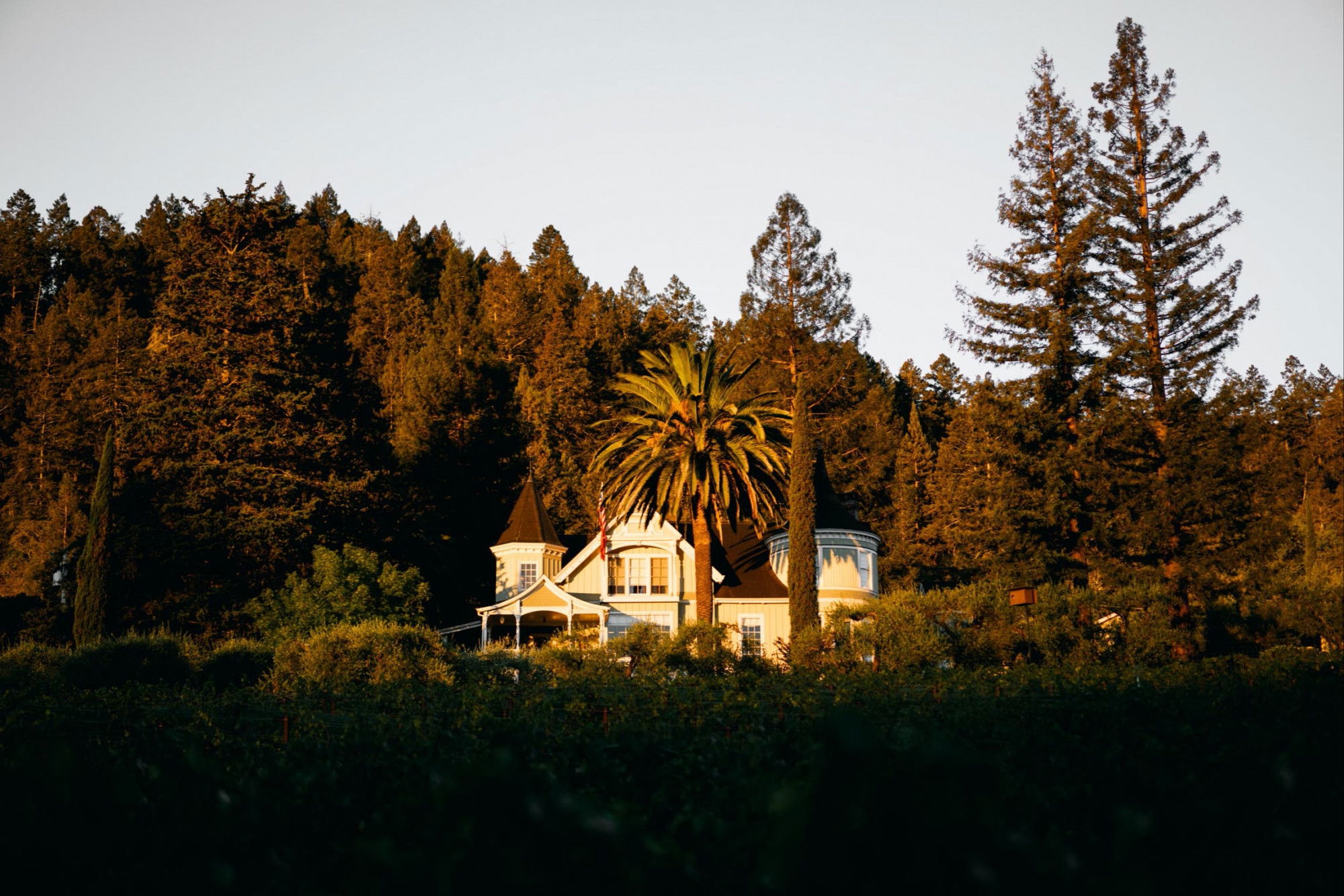 Grace Family Vineyard, Winery in St. Helena