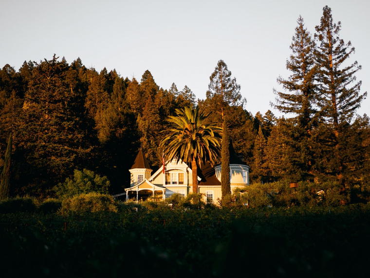 Grace Family Vineyard, St. Helena, United States