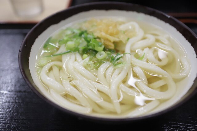 Teuchi Udon Ueda, Takamatsu, Japan