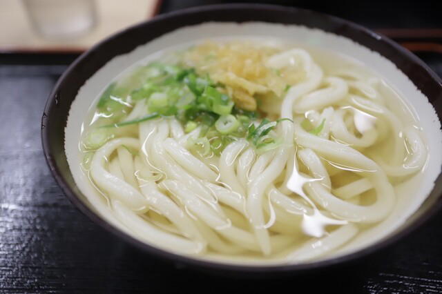 Teuchi Udon Ueda, Takamatsu, Japan