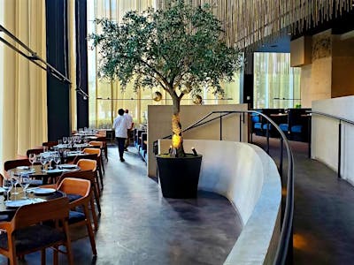 Guard and Grace, Houston, United States