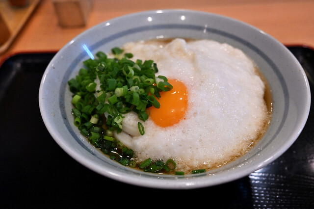 Sanuki Udon Jobe, Fujimino, Japan