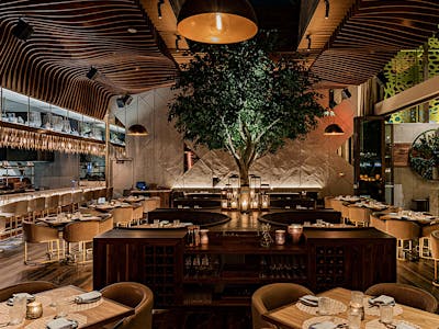 Toca Madera, Scottsdale, United States