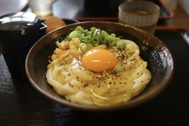 Teuchi Judan Udon Baka Ichidai, Restaurant in Takamatsu