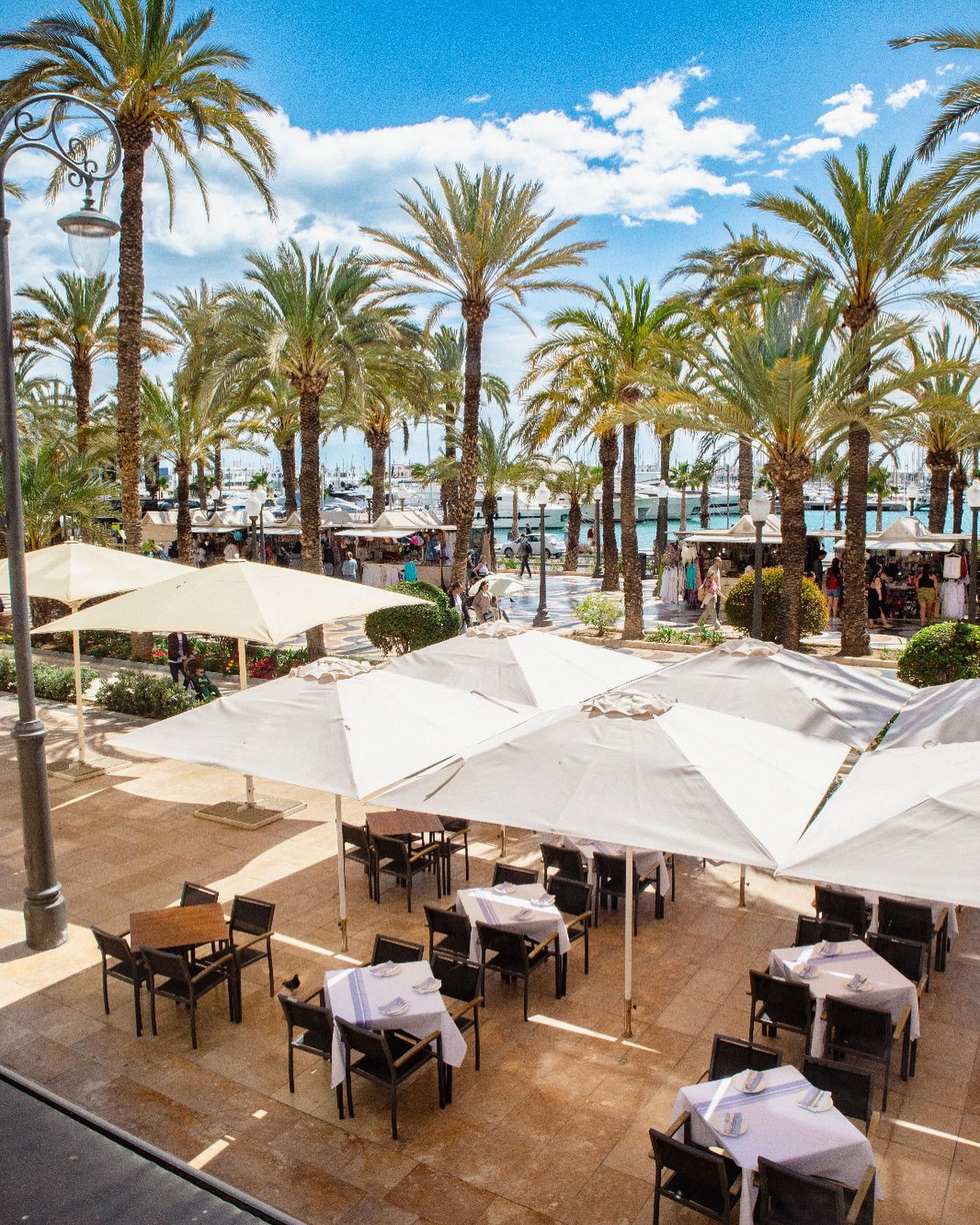César Anca, Restaurant in Alicante